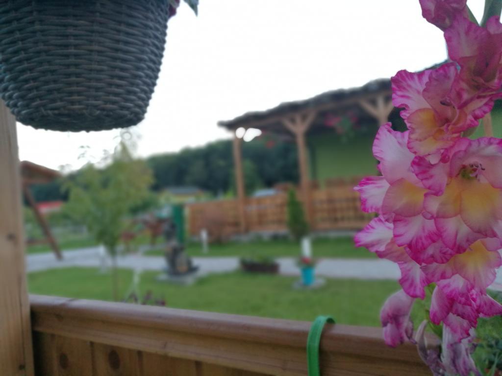 Agropensiunea Valea Fagilor Luncavita Exteriér fotografie
