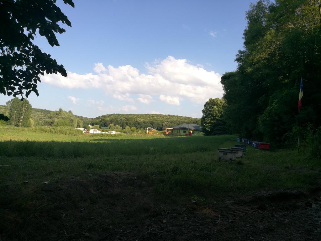 Agropensiunea Valea Fagilor Luncavita Exteriér fotografie