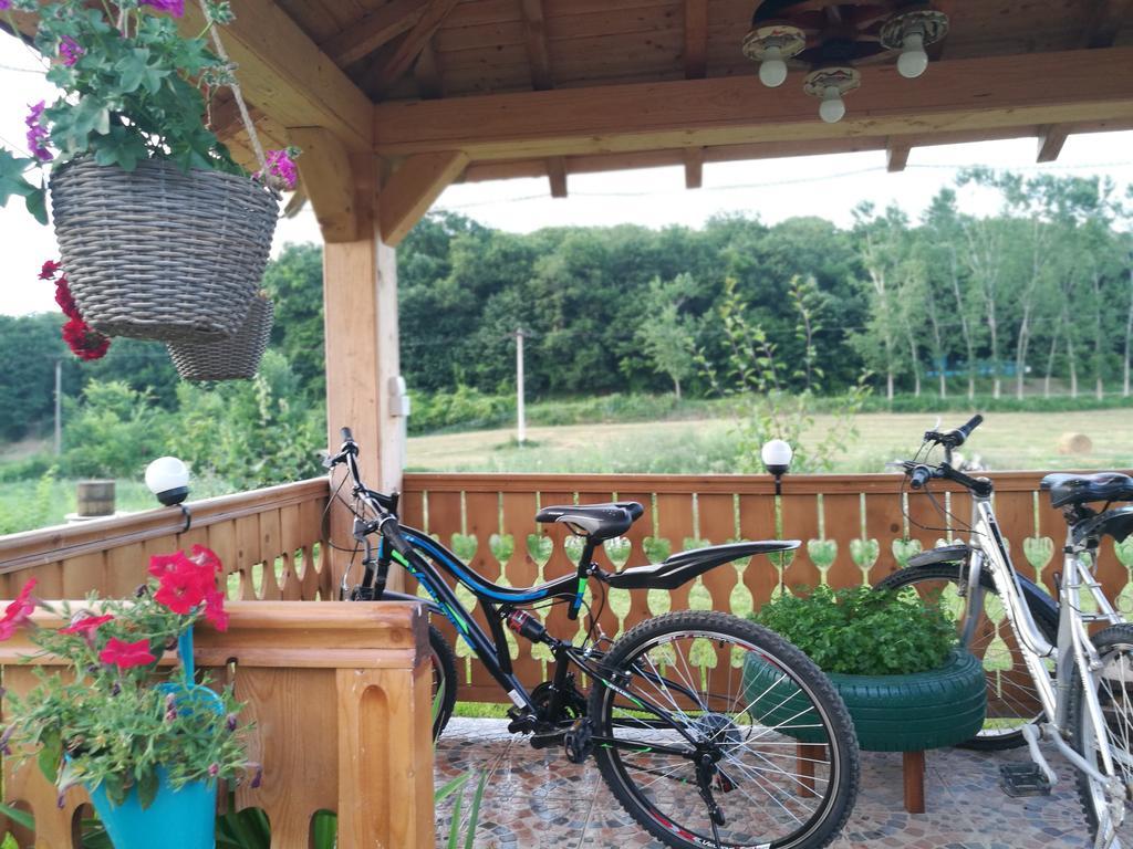 Agropensiunea Valea Fagilor Luncavita Exteriér fotografie