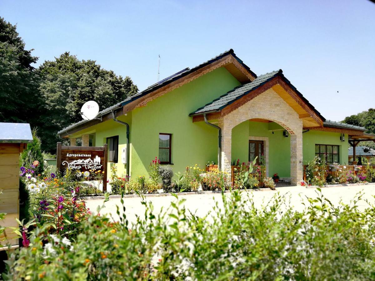 Agropensiunea Valea Fagilor Luncavita Exteriér fotografie