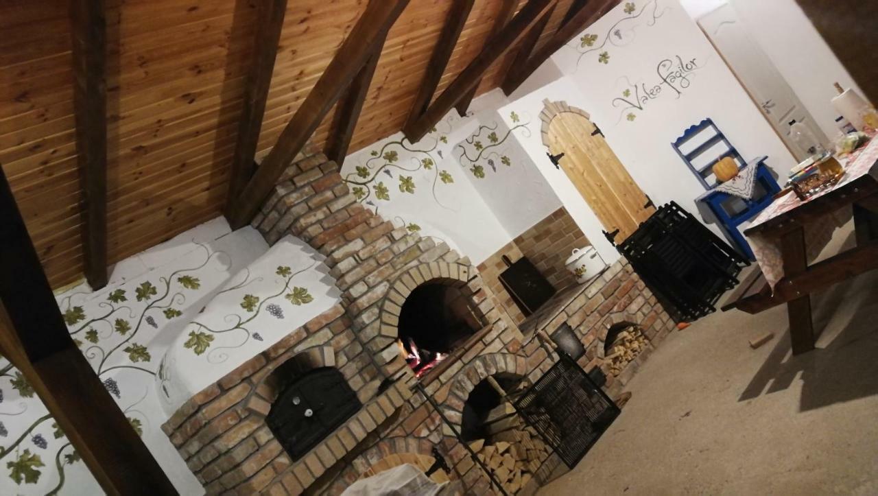 Agropensiunea Valea Fagilor Luncavita Exteriér fotografie