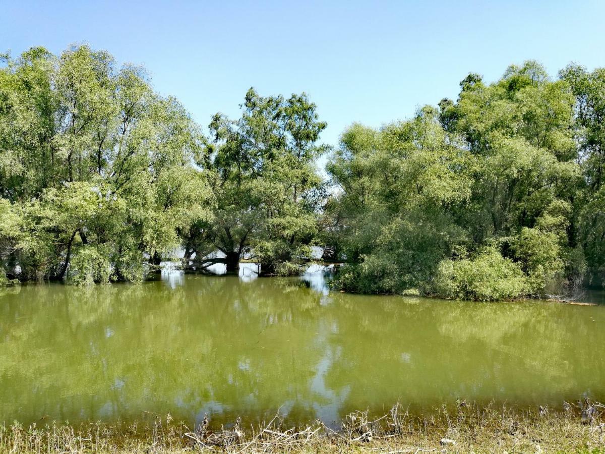 Agropensiunea Valea Fagilor Luncavita Exteriér fotografie