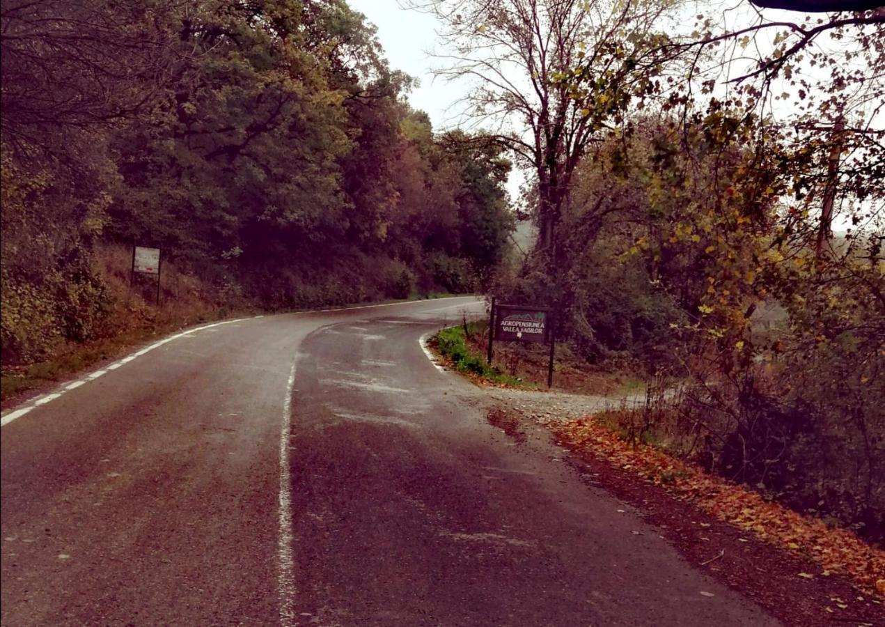 Agropensiunea Valea Fagilor Luncavita Exteriér fotografie