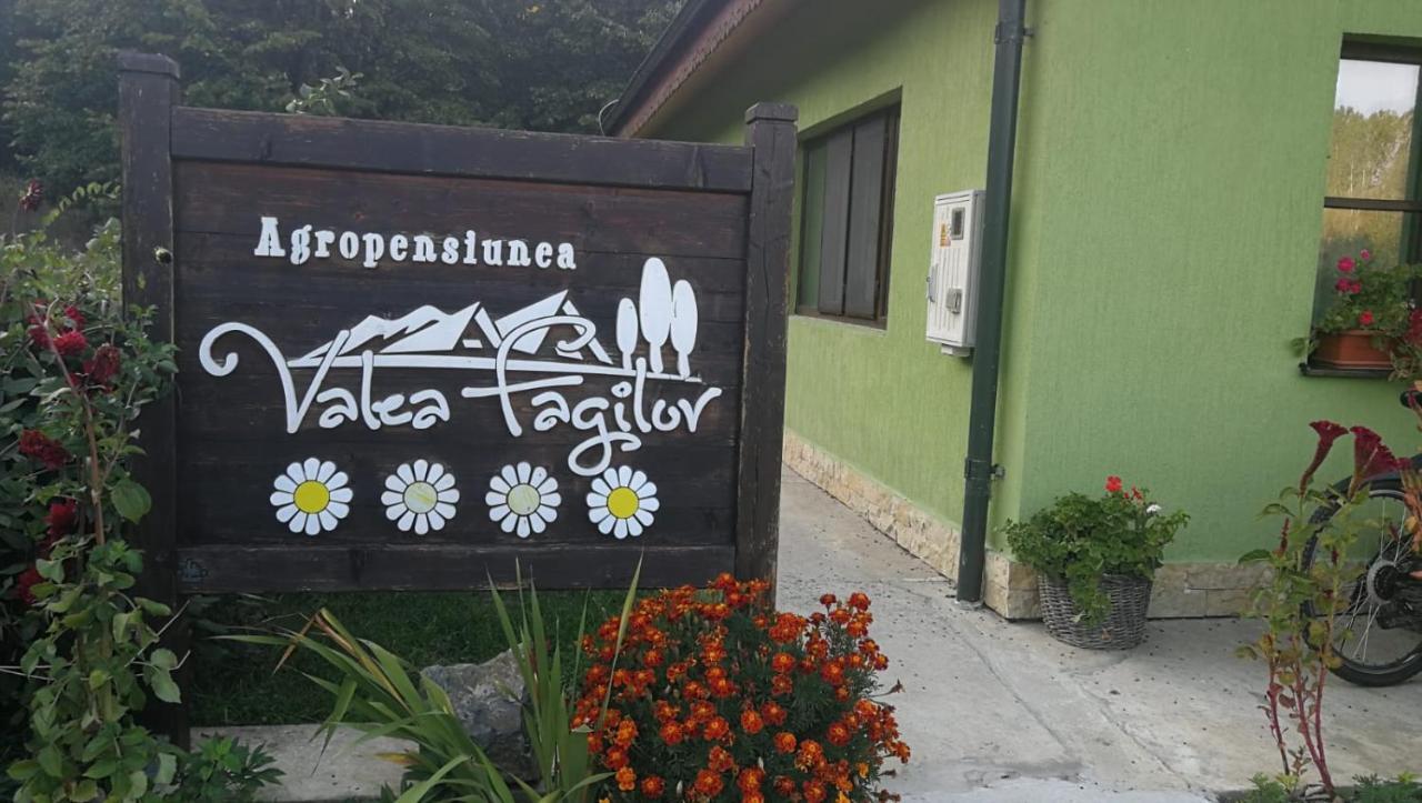 Agropensiunea Valea Fagilor Luncavita Exteriér fotografie